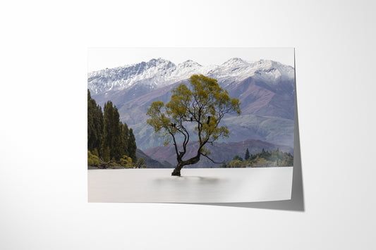 Wanaka Wonder: A Limited-Edition Fine Art Print Showcasing the Iconic Tree on Lake Wanaka